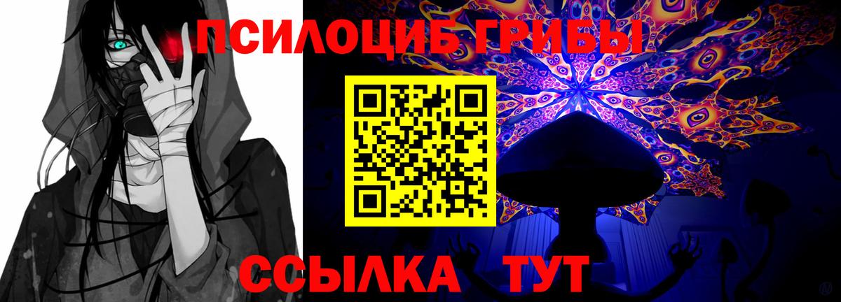 Псилоцибиновые грибы MAGIC MUSHROOMS  хочу наркоту  Похвистнево  Галлюциногенные грибы Magic Shrooms  Вход с VPN 